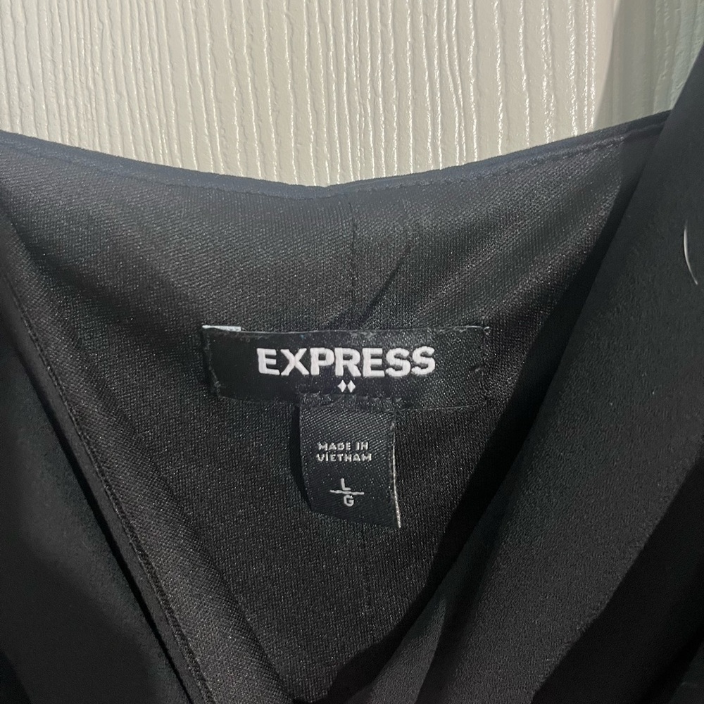 Express Dress - Picture 3 of 3